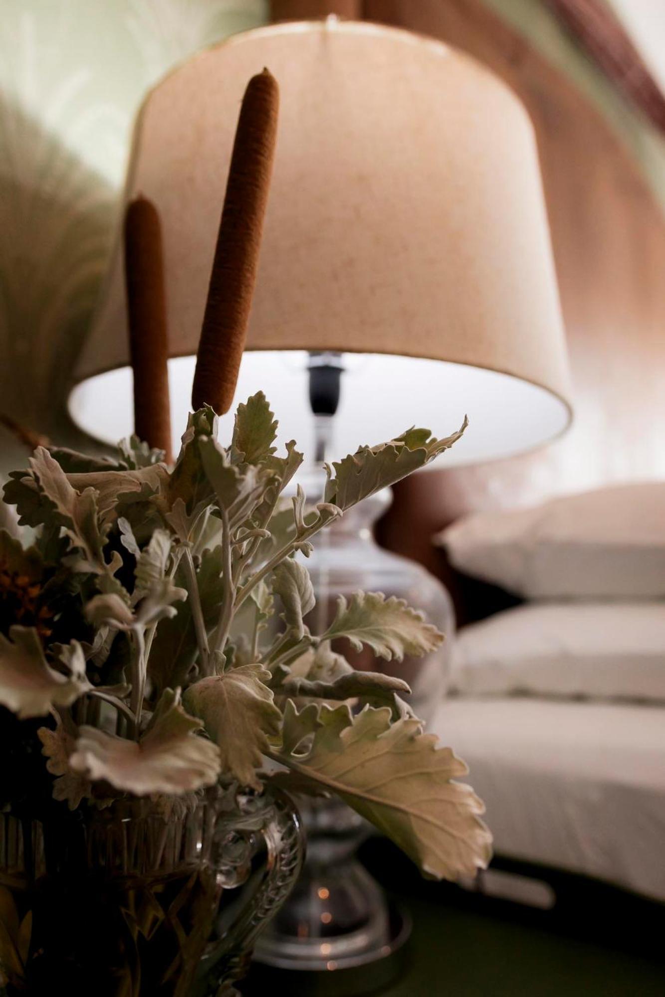 Britstown Sweetfontein Boutique Farm Lodge מראה חיצוני תמונה